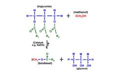 Biofuel - Biodiesel Chemistry