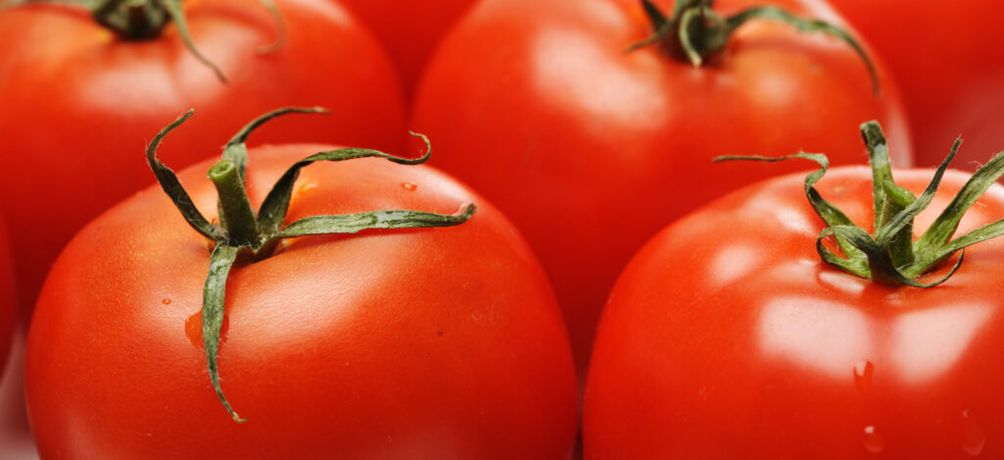 How to plant tomatoes: 7 Common mistakes when Growing Tomatoes in Pots-2