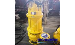 Hydroman™ TSQ Submersible Sand Pumps