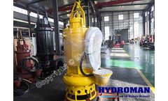 Hydroman™ Submersible Sand Pump 8`