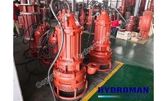 Hydroman - Model tjq - China Vertical Submersible Sand Slurry Pump