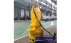 Hydroman™ -  Electric submersible sand agitator pumps