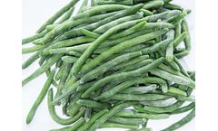 IQF Green Beans Cut