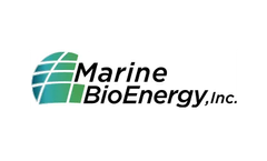 Disruptive supplies of affordable biomass feedstock grown in the open ocean marine