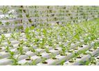 Direkci - Seedling Greenhouses