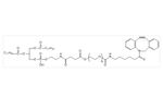 Biochempeg - Model DSPE-PEG-DBCO - High Purity Polyethylene Glycol (PEG)