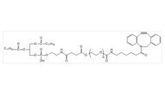 Biochempeg - Model DSPE-PEG-DBCO - High Purity Polyethylene Glycol (PEG)