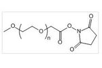 Biochempeg - Model mPEG-SCM - High Purity Polyethylene Glycol (PEG)