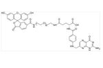 Biochempeg - Model FITC-PEG-FA - High Purity Polyethylene Glycol (PEG)