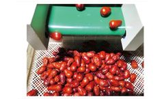 Taiho - Model 6GFDCS-6 - Multiple and Intelligent Dried Fruit Sorting System