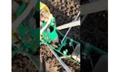 Hand garlic planter Garmach SLR-1/1 VAS - Video