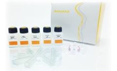 SpeedTools - Plasmid DNA Purification Kit