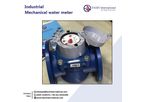 Water Meter Supplier - Model FI - Woltman/turbine type water meter
