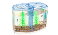 Senzeal - Best Double Betta Fish Tank
