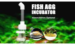 Aquarium Fish Egg Tumblers Hatchery Incubators | Cichlid Egg Incubator- Video