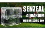 Vital Tool for Fish Breeding: Fish Isolation Box - Video