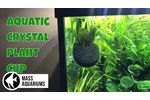 Senzeal Crystal Glass Aquatic Plant Cup - Video