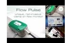 Flow Pulse - Pulsar Process Measurement - Video