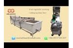 Industrial Fruit Vegetable Washing Cutting Machine Line- Video