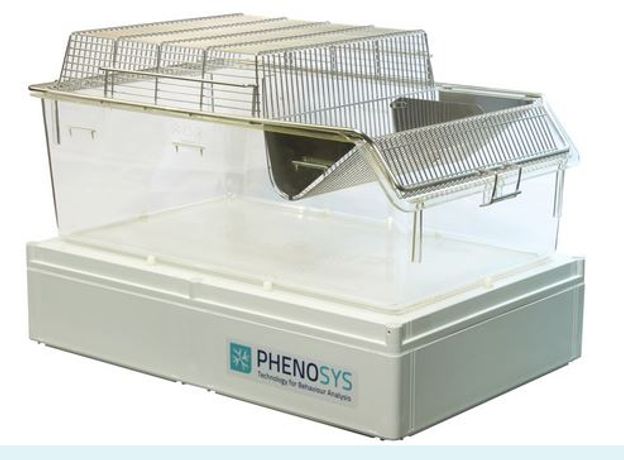 PhenoSys - Animal Activity Monitor
