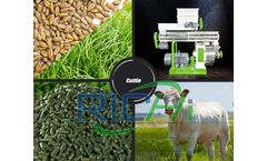 Why is poultry cattle goat feed pellet making equipment matter?