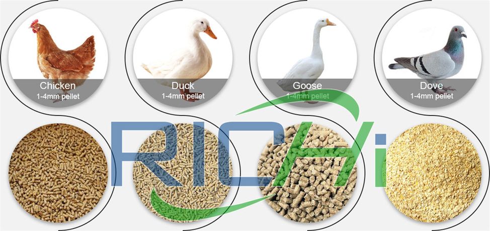 Rate of fowl feed making device and advantages-4