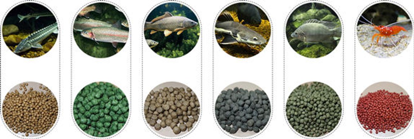 How to make ingredients for drifting fish feed making equipment?-4