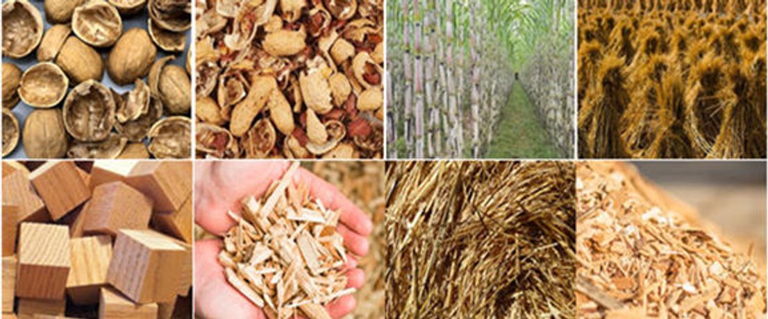 Economic advantages of timber pellet mill equipment-4