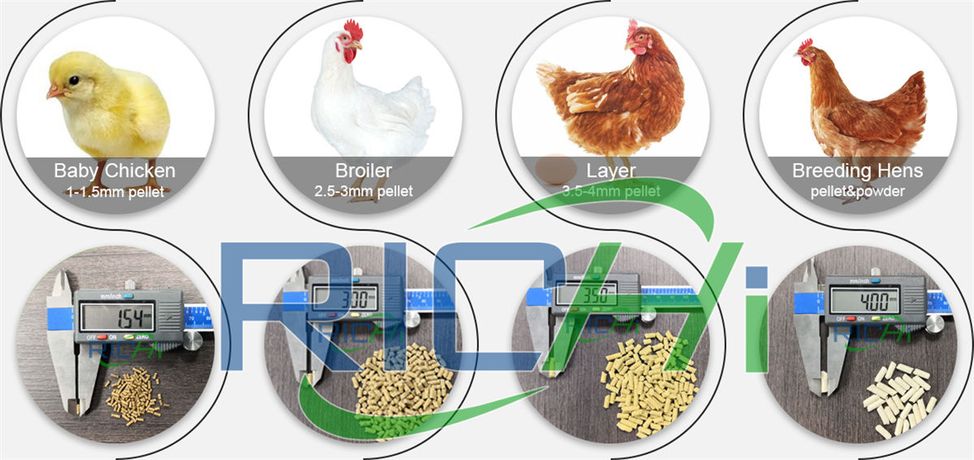 Advantages of Top Quality Feed Making Maker For Chicken-2