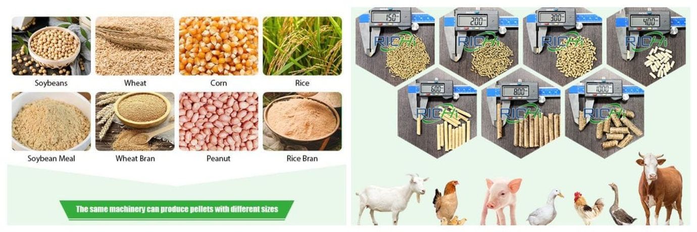 The use effect of poultry feed production machines-2