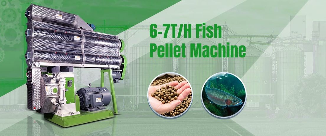 Exactly how Does a Fish Feed Pellet Machine Work?-3