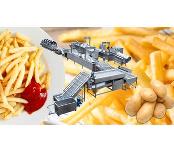 Taizy - Model TZ-300 - Fully Automatic Frozen French Fries Processing Plant