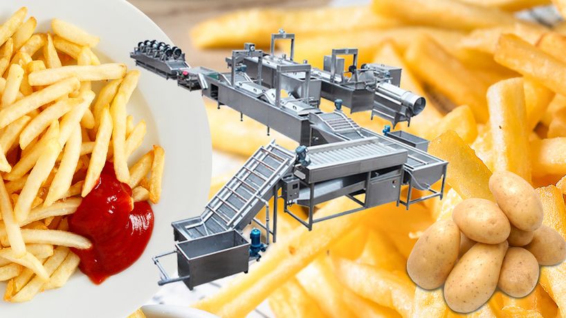 Taizy - Model TZ-300 - Fully Automatic Frozen French Fries Processing Plant