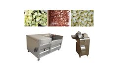 Taizy - Model 600 - Industrial vegetable and fruit dicing machine
