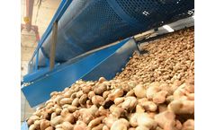 Taizy - Model 45 - Raw cashew nuts grading machine