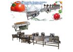 TZ - Model washing machine - Industrial fruit and vegetable washing machine