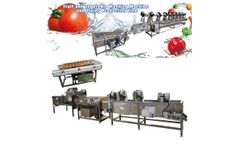 TZ - Model washing machine - Industrial fruit and vegetable washing machine