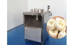 Taizy - Model potato - Banana slicing machine