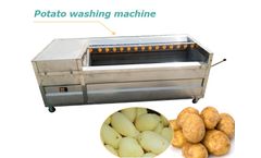 Taizy - Model potato - Potato washing cleaning machine