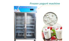 Taizy - Model yogurt - Yogurt fermentation machine