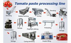 TZ - Model vegetable - tomato paste production line
