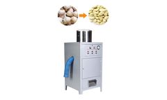TZ - Model garlic - Garlic peeling machine