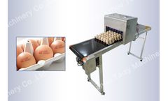 Taizy - Model egg - Egg inkjet coding machine