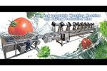 High pressure bubble vegetables and fruits washing equipment