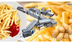 500kg/h full automatic french fries production line
