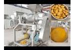 Automatic Mango Pulping Machine Video
