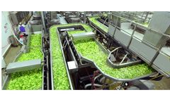 Inokat - Processing Machines for Vegetables (Whole - Cut)