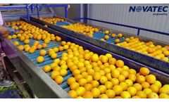 Novatec - Sorting & Packing Line for Citrus - Video