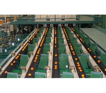 Model PK Type - Tray Conveyor Sorter