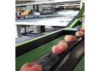 MultiSort - Fruit Grading Machine